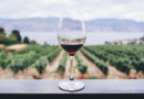 Vino, argentino, ubicación, vitivinícola, Coviar