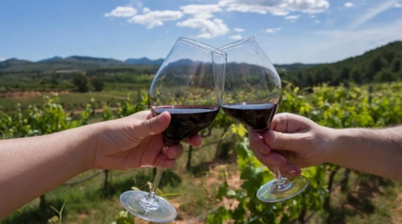 Vino, argentino, ubicación, vinos