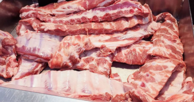 carne, porcina, cerdo, argentino, brasil, china, investigación, Unión Europea, europeo