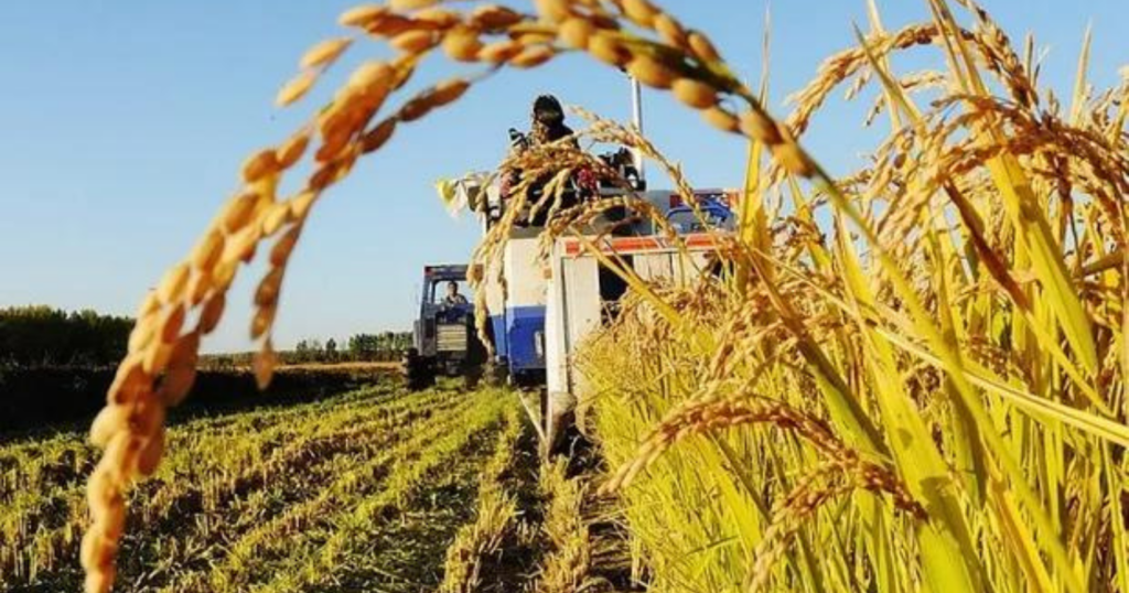 Agroindustria, 2024, dólares, Inversión, agro, campo