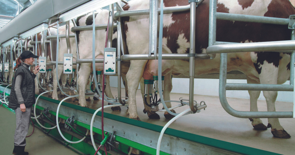 leche, producción, tambos, lechería