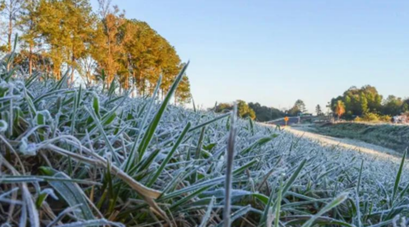 Invierno, 2024, mayo, frío, alerta, roja, ola polar, Patagonia