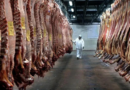 brasil, japón, Cuota Hilton, exportación, carne vacuna, mayo, Unión Europea, Argentina