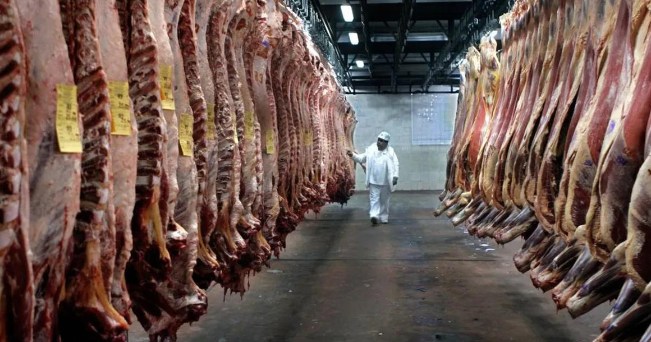 brasil, japón, Cuota Hilton, exportación, carne vacuna, mayo, Unión Europea, Argentina, invernada, mercado, ganadería, cría, carne vacuna, internacional