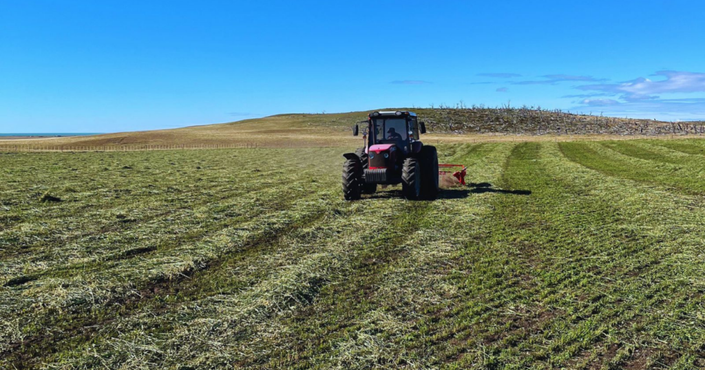 Plan forrajero, zonas, climáticas extremas, clima