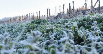 frío, zona núcleo, invierno, 2024