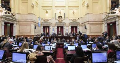 Senado, Ley Bases, Diputados, aprobó, veto univesitario, agro en la legislatura