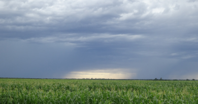 Invierno, 2024, junio, verano, lluvias