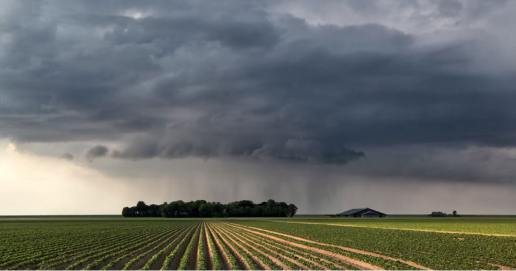 Frío, lluvias, clima, campo, primavera,