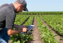 startups agroindustriales, Tecnología, digital, campo, Argentina, Agricultura 5.0, conectividad rural, agro