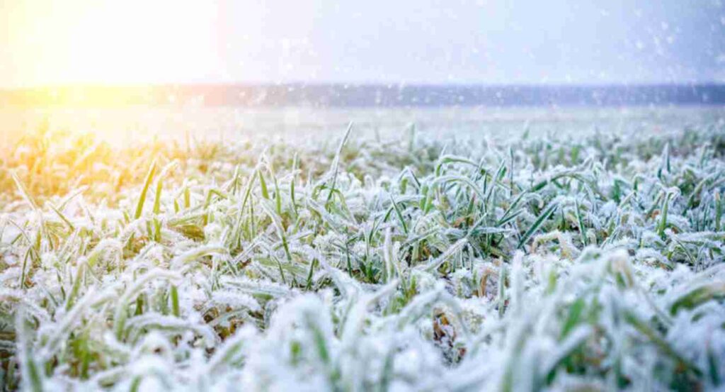 Clima, Ola polar, alerta roja, Buenos Aires, La Pampa, San Luis, heladas, Invierno, 2024, lluvias