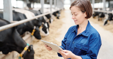 Trazabilidad, Inteligencia Artificial, bienestar, bovino