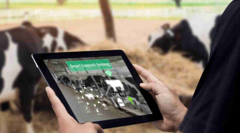 alimentaciones, sistema, ganadería, inteligencia artifical