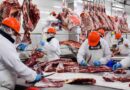 ganadería, retenciones, China, exportaciones, carne vacuna, retenciones, carne, bovina, exportación de carne, gobierno, mercados, internacionales, frigoríficos, trabajadores de la carne