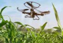 campo, Trazabilidad, Agtech, tecnología, tecnologías, productores, agropecuarios, Agricultura 5.0, agro