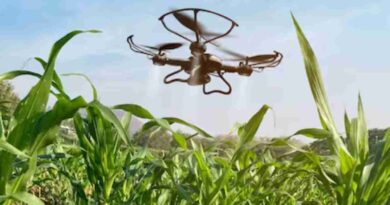 campo, Trazabilidad, Agtech, tecnología, tecnologías, productores, agropecuarios, Agricultura 5.0, agro