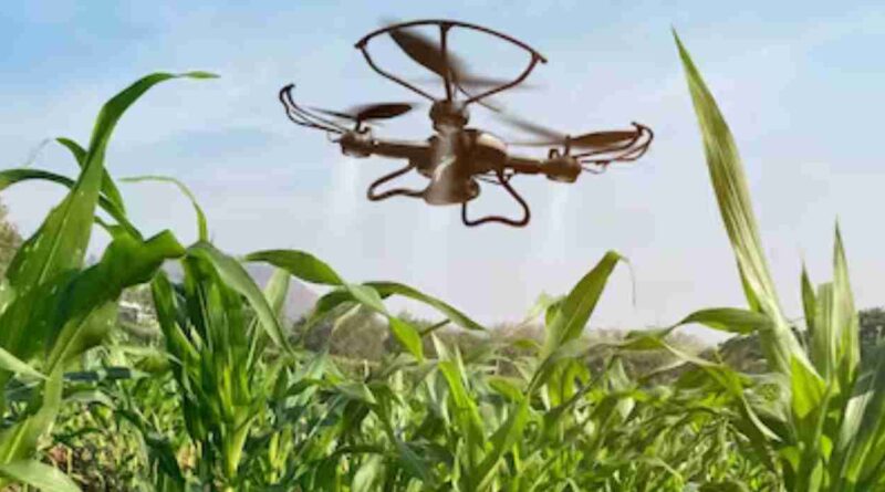 campo, Trazabilidad, Agtech, tecnología, tecnologías, productores, agropecuarios, Agricultura 5.0, agro