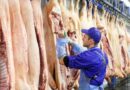 Faena, julio, tipificar, ganadería, carne