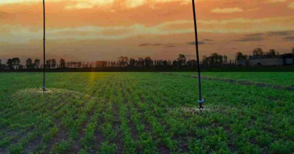 Riego, imágenes satelitales, planificación, alfalfa