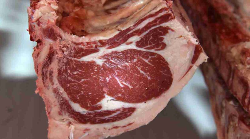 Tipificación bovina, carne