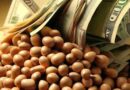 cepo cambiario, campo, Córdoba, exportaciones, exportacion, Javier Milei, Soja, retenciones, granos, Exportaciones, agro, soja, Estados Unidos, mercado de granos, conicet, granos, mercado
