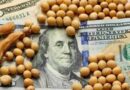 crédito, Soja, retenciones, San Luis, exportaciones, maíz, trigo, USDA, liquidación, agro