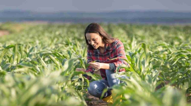 Mujeres, campo, mujeres rurales