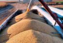 exportacion, retenciones, liquidación, agro, Córdoba, Martín Llaryora, retenciones, exportaciones, Soja, molienda, campaña, retenciones, Afip, campo, maíz, Argentina, exportador, crédito
