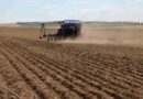 La Pampa, siembra gruesa, Campos, deforestados, Europa, campo, javier milei