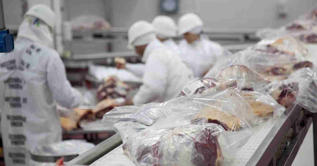 ganadería, retenciones, Frigoríficos, Senasa, Corrientes, Inteligencia artificial, carne, China, subproductos de origen animal, trabajadores de la carne, ganadería