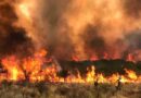 Corrientes, Incendios, Córdoba, clima, Epuyén, El Bolsón