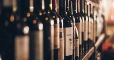 Vino, argentino, canadá, CAMPO