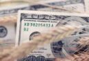 dólar, campo, impuestos, agro argentino