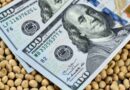 dólar, campo, campo, financiamiento, acuerdo