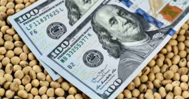 dólar, campo, campo, financiamiento, acuerdo