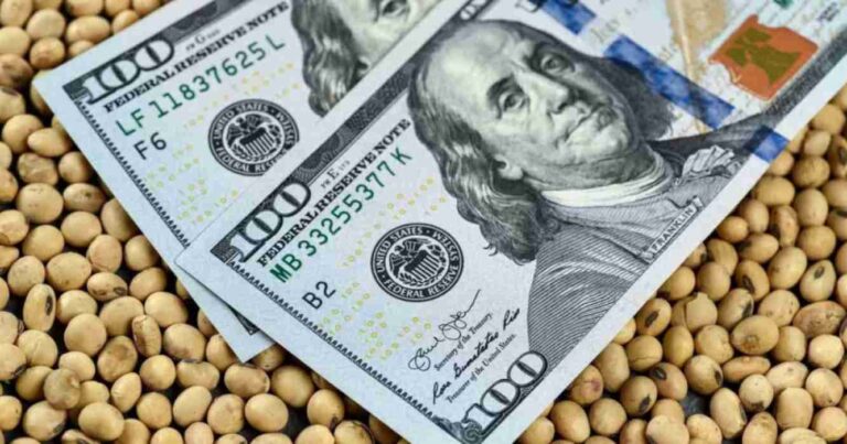 dólar, campo, campo, financiamiento, acuerdo