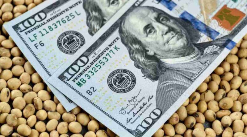 dólar, campo, campo, financiamiento, acuerdo