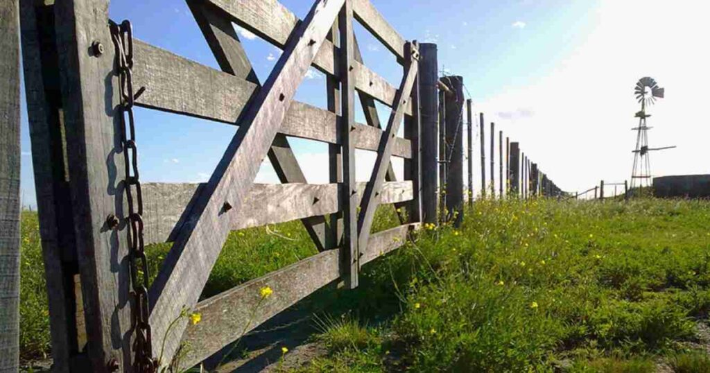 Campos, compraventa, Ley de Tierras Indígenas,