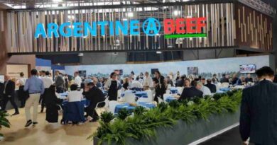 Carne argentina, Europa