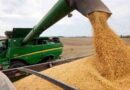 campo, exportaciones, Entre Ríos, china, soja, rosario, ruca, agro, liquidación de divisas, mercados, exportaciones