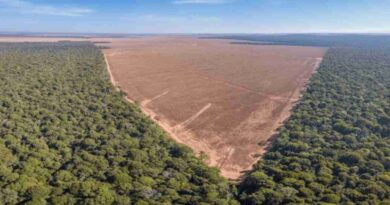Campos, deforestados, Europa, ley de deforestacion, europa, Ganadería, tuberculosis, cambio climático