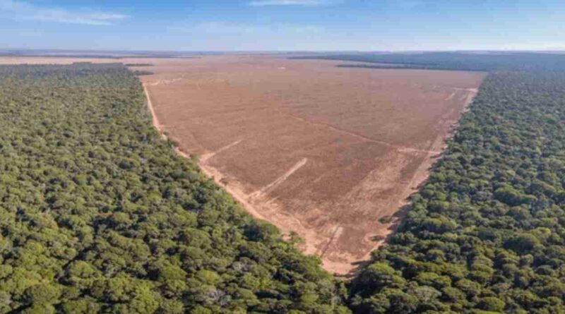 Campos, deforestados, Europa, ley de deforestacion, europa, Ganadería, tuberculosis, cambio climático