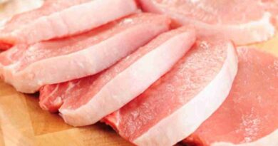 carne, Argentina, Brasil, precios, alimentos, Cerdos, lino, producción, industria, porcina, exportaciones