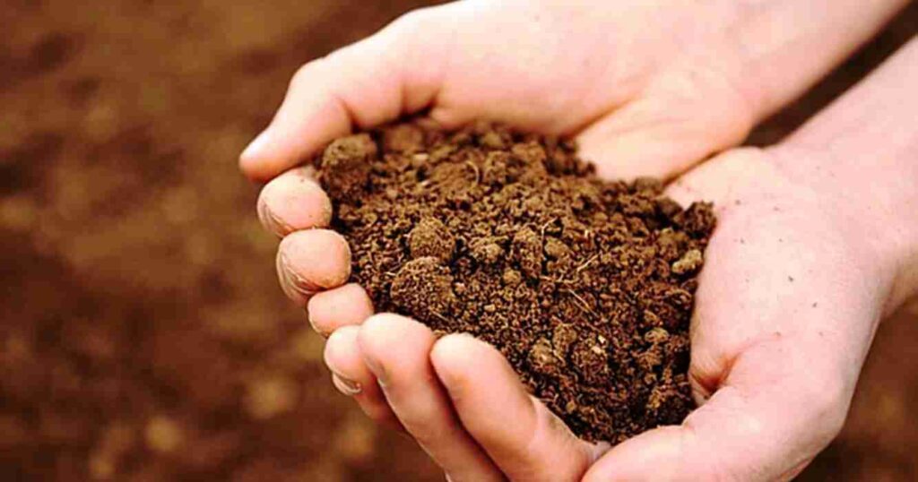 Agricultura, suelo,