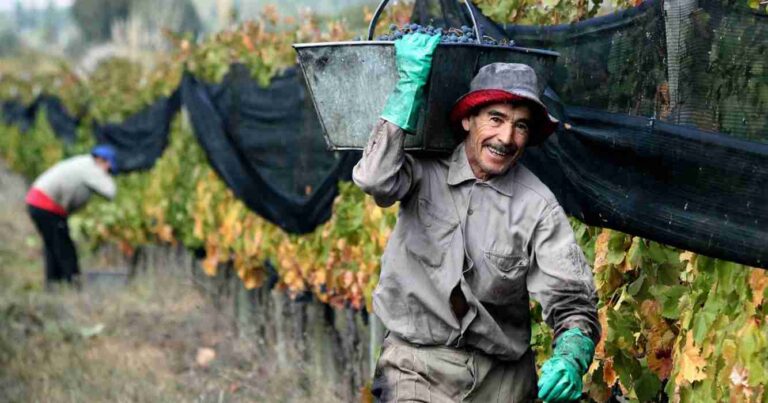Trabajadores rurales, bono, renatre, salarios, prestación por desempleo rural