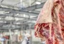 exportaciones, carne vacuna, exportación, ganadería
