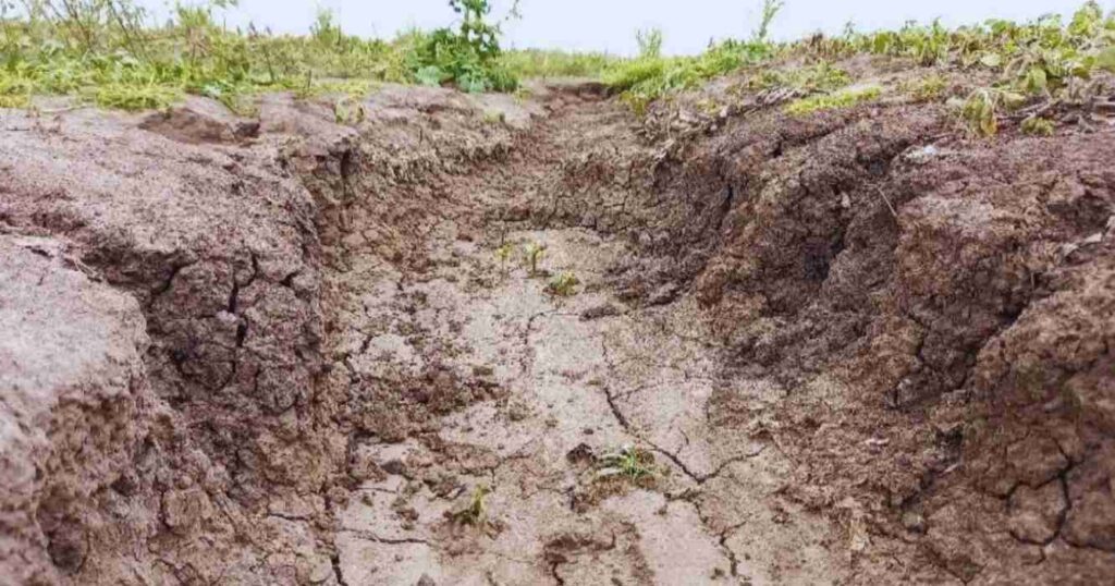 Santa fe, conservación, suelos