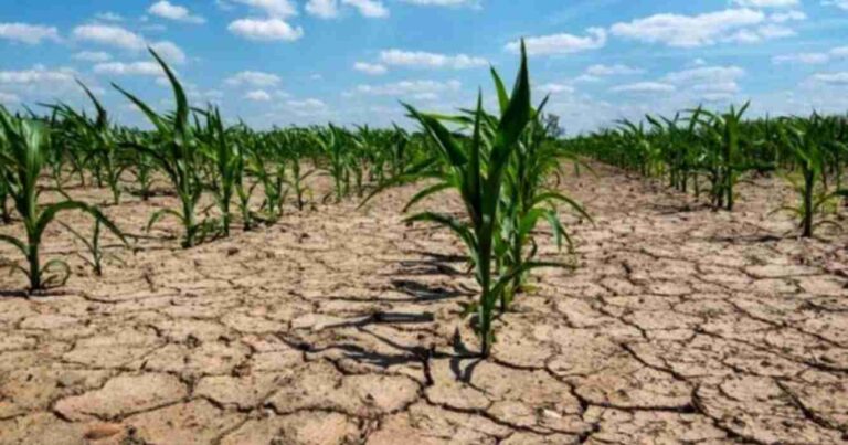 Santa fe, conservación, suelos, sequía