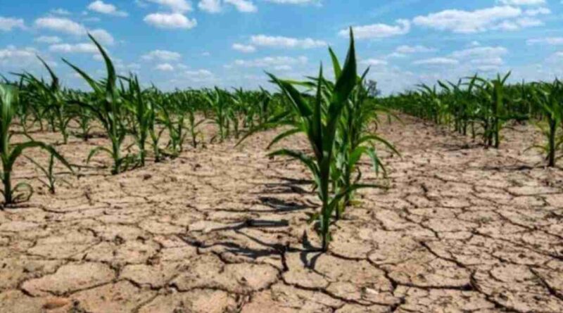 Santa fe, conservación, suelos, sequía