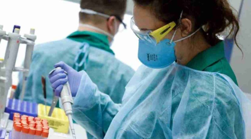 Senasa, RedLab, influenza aviar